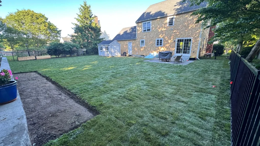 Sod installation